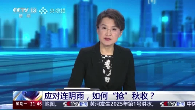 【主流媒體看周口】面對(duì)連陰雨 如何“搶”秋收？